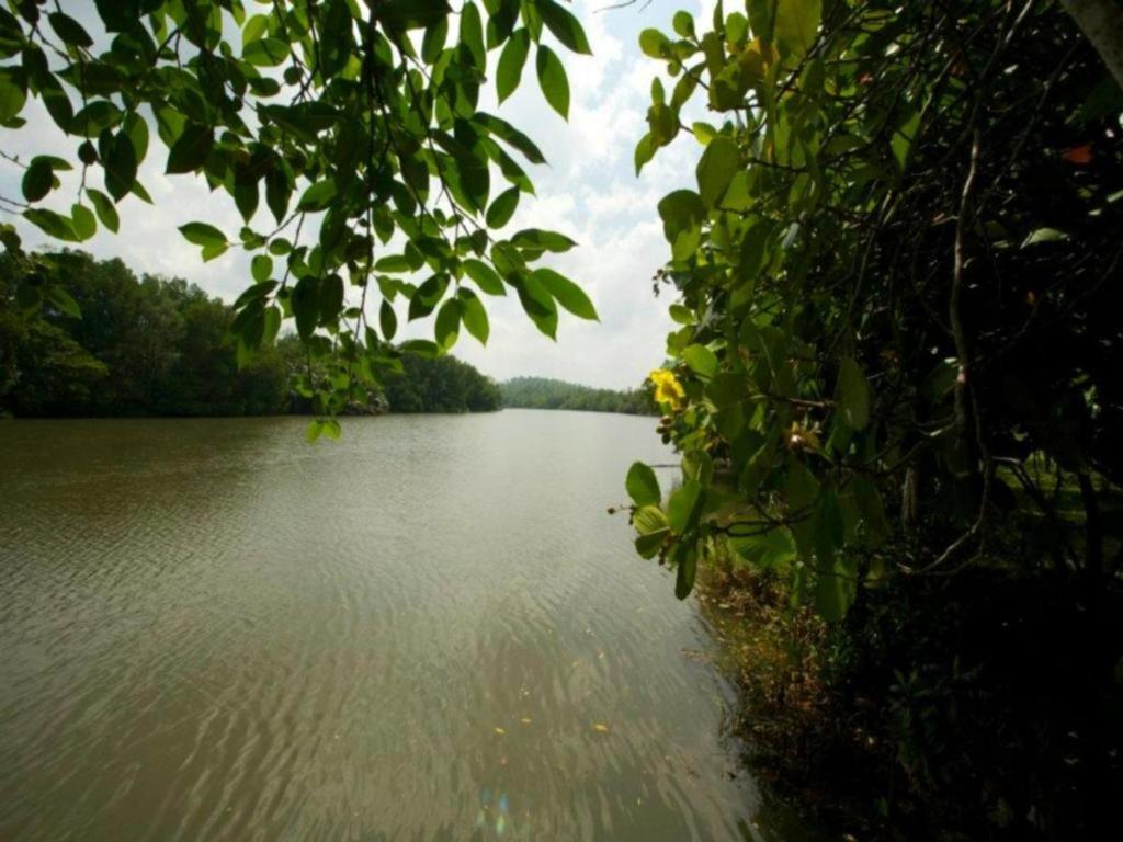 Mangrove Escapes Hotel Bentota Ngoại thất bức ảnh