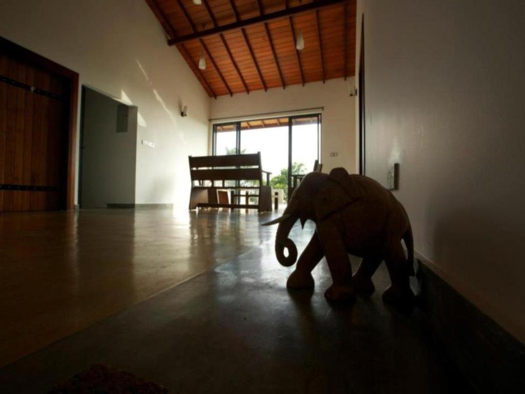 Mangrove Escapes Hotel Bentota Ngoại thất bức ảnh