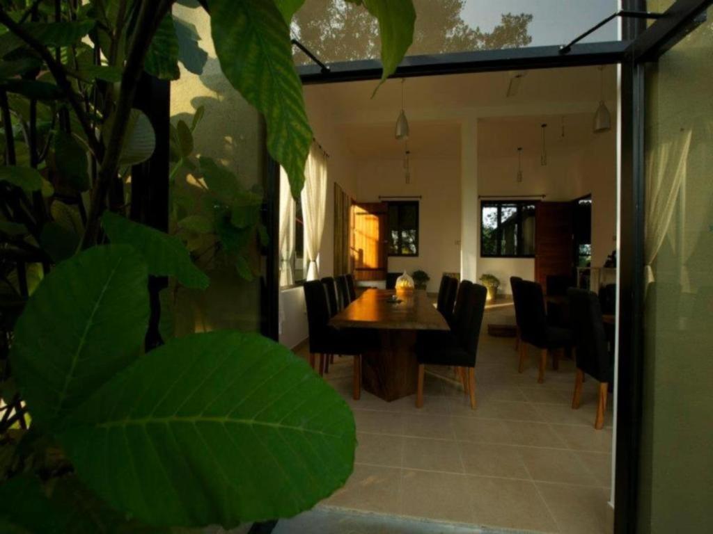 Mangrove Escapes Hotel Bentota Ngoại thất bức ảnh