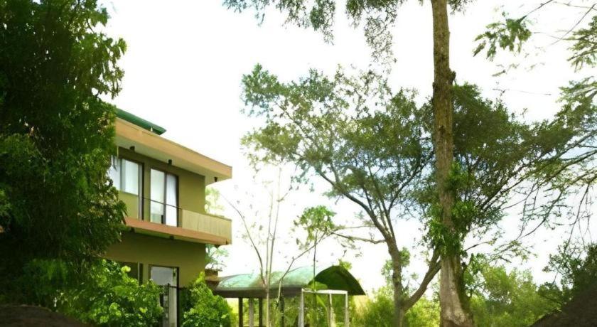 Mangrove Escapes Hotel Bentota Ngoại thất bức ảnh