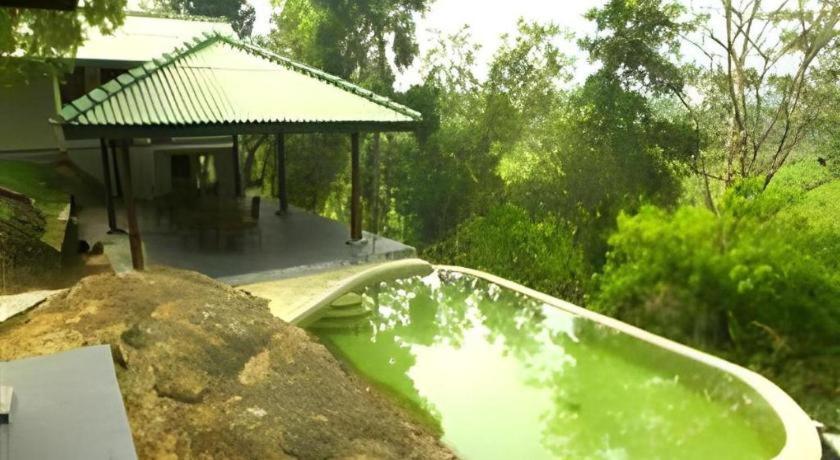 Mangrove Escapes Hotel Bentota Ngoại thất bức ảnh