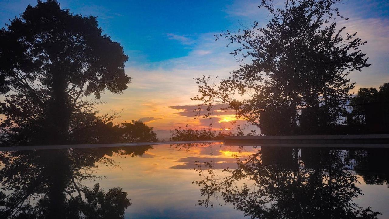 Mangrove Escapes Hotel Bentota Ngoại thất bức ảnh