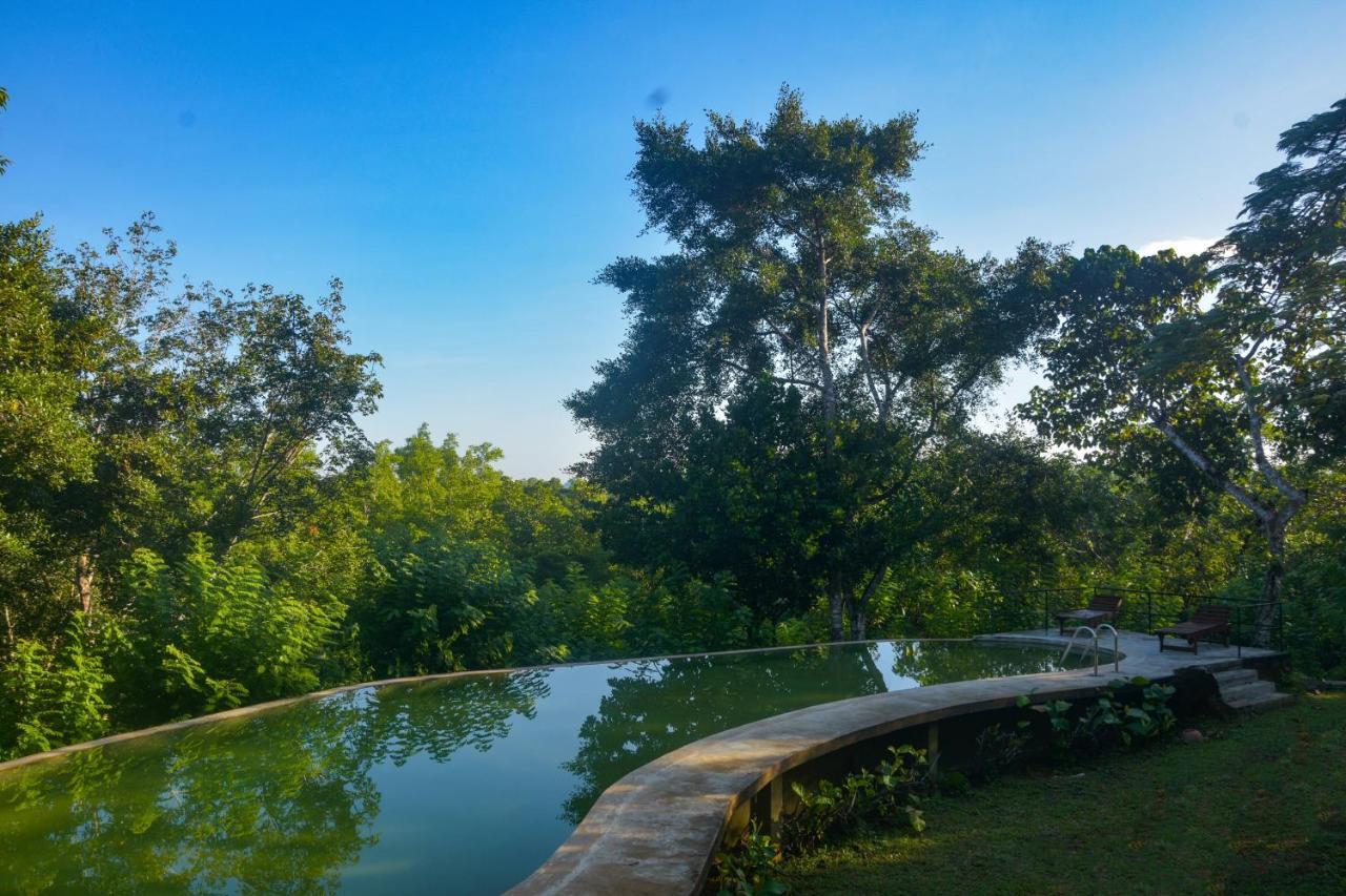 Mangrove Escapes Hotel Bentota Ngoại thất bức ảnh